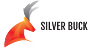 Digital Health Rewired communications partner- Silver Buck